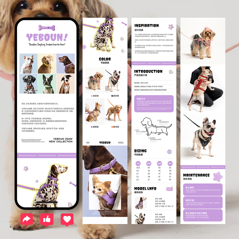 Pet Product Detail Page Design Cat and Dog Clothing Detail Page Template Dog Clothes and Leash Detail Page Design Pet Product Detail Page Design Cat and Dog Clothing Detail Page Template Dog Clothes and Leash Detail Page Design