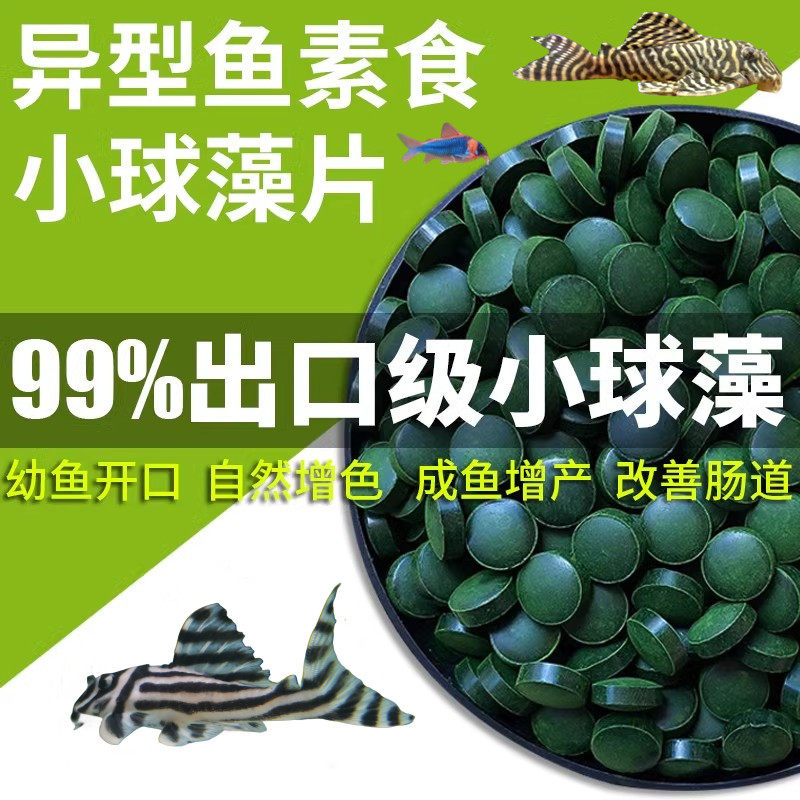 🌿海底美食盛宴!热带水域小球藻鱼食让你的宠物鱼健康成长🌱-观赏鱼饲料-淘宝好物网