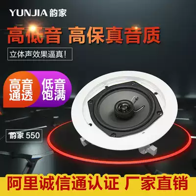 Right turn confidant high fidelity 5 inch coaxial top speaker home background music system ceiling ceiling speaker