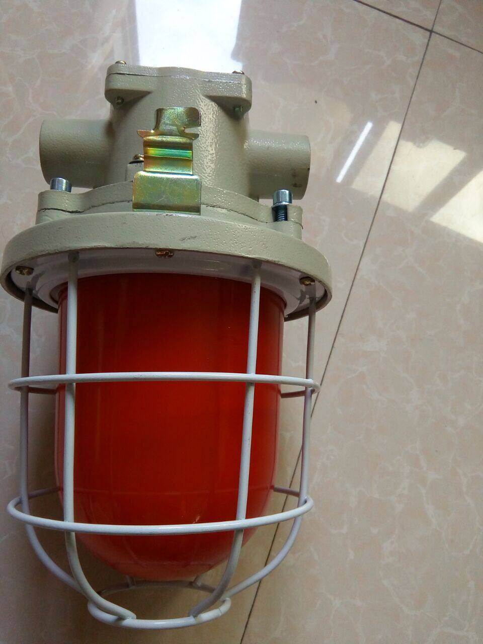 DGS60 DGS60 127B mining flame-proof signal lamp 60W explosion-proof incandescent lamp 127V RED MINE INCANDESCENT LAMP