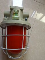 DGS60 127B mine explosion-proof signal lamp 60W explosion-proof incandescent lamp 127V red mining incandescent lamp