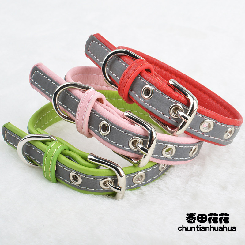 Dog neck neck and neck cat collar midsize dog Teddy dog circle cat neck neck neck reflection
