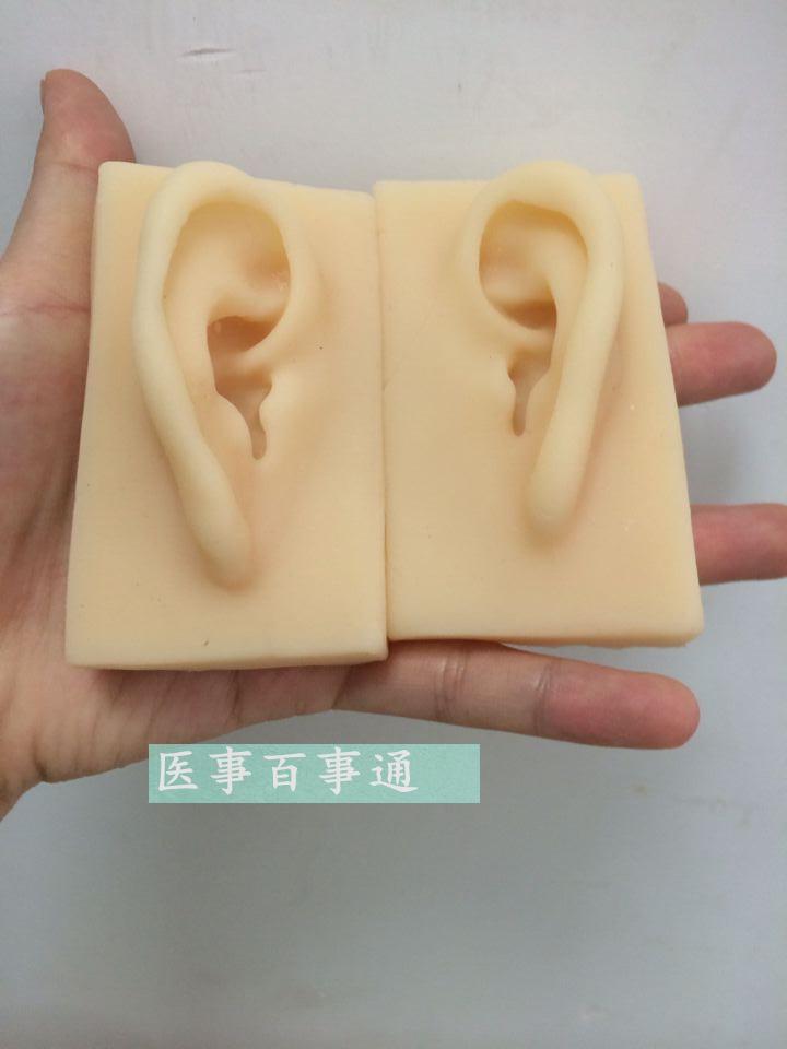 硅胶耳朵模型 软TPR耳朵模型 厂家供应仿真人耳模型 示教硅胶耳