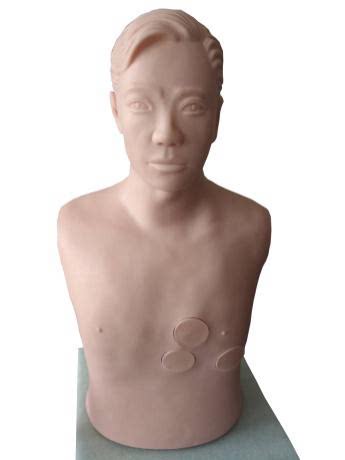心包穿刺与心内注射仿真电动模型