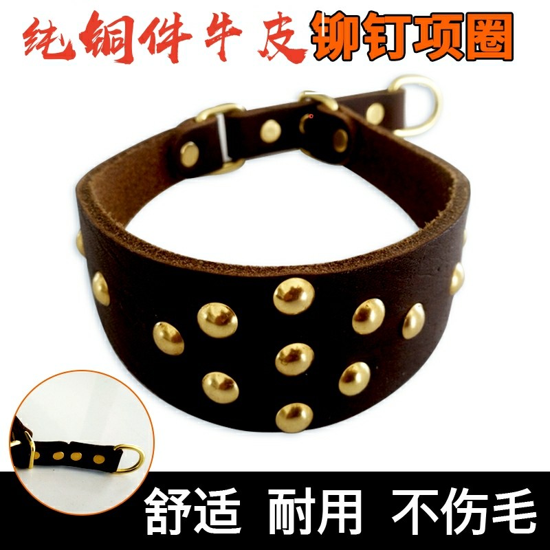 Medium-sized large dog Gree dog spirit physique Huihuibit copper piece pure cowhide dog collar collar neck sleeve