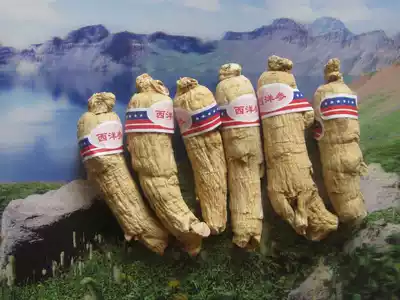 American ginseng Changbai Mountain West Ginseng Tablets for 7 years
