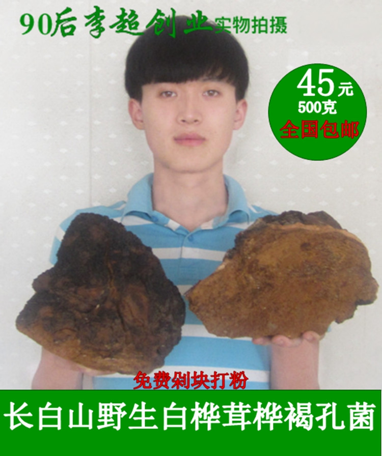 Long White Mountain White Birch Birch Wild Birch Brown Pore Fungus Birch Tree Birch Tree Tears Birch Tree Mulberry Birch Mulberry Yellow Chopping Block Powder