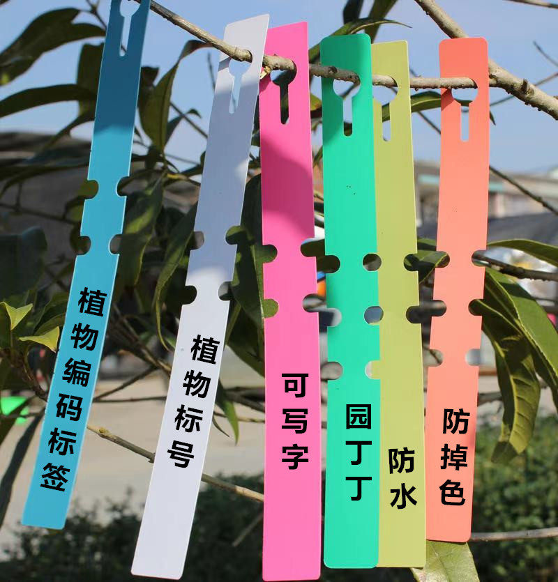 PVC waterproof ring label plant label seedlings garden label plastic colored tree flower listed