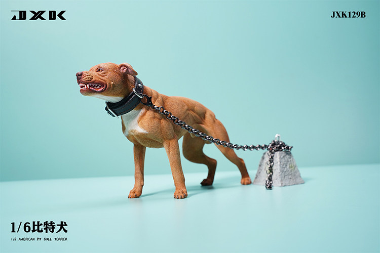 O1CN01J9wlMj1uVkBcTLRxo_!!