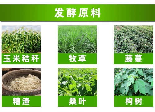 Соломенная фермеция, зеленый корм для корма для хранения желтый хранение кувшина соломенная соломенная ферментированная мебель, кормовая трава питательная овца скота, овцы овцы