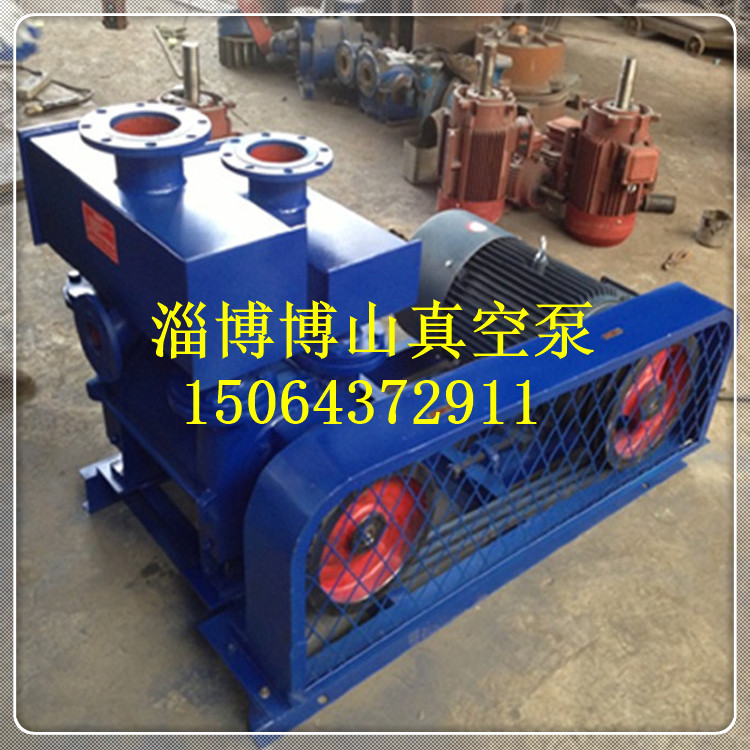 Water ring vacuum pump 2BE AC4 Water ring vacuum pump 153 202 203 252 253 303 90kw