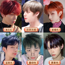 Blue Black Green Wood Tea Brown Hair Dye No Floating Ink Green for Men Hair Color Sea Red Hair Dye Cream Adult