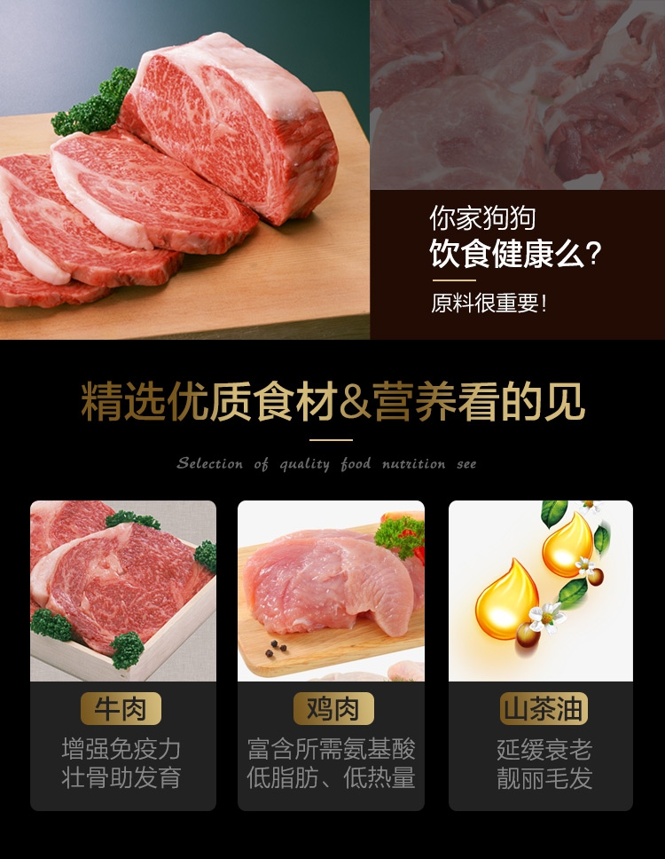 瑞 派 金毛 萨摩耶德 哈斯奇泰迪 成犬 Tổng nhỏ lớn 20kg40 kg - Chó Staples cám royal canin