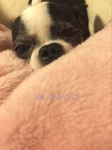 (Tong Tong) Abnormal freight replacement link before contact