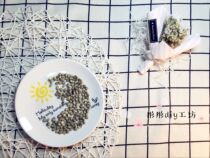 (Tong Tong) Hamster snacks summer fire freeze-dried without adding mung beans 10g