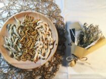 (Tong Tong) Hamster snacks freeze-dried white shrimp dried fish bread insects The whole nutrition is locked 10g