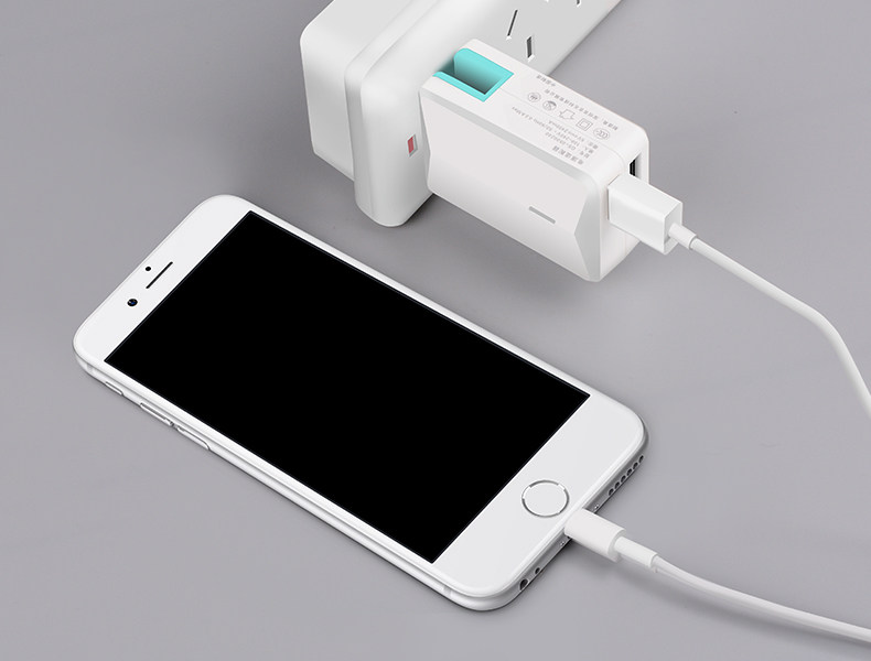 chargeur PZOZ pour téléphones APPLE APPLE IPHONE5S - Ref 1296236 Image 24