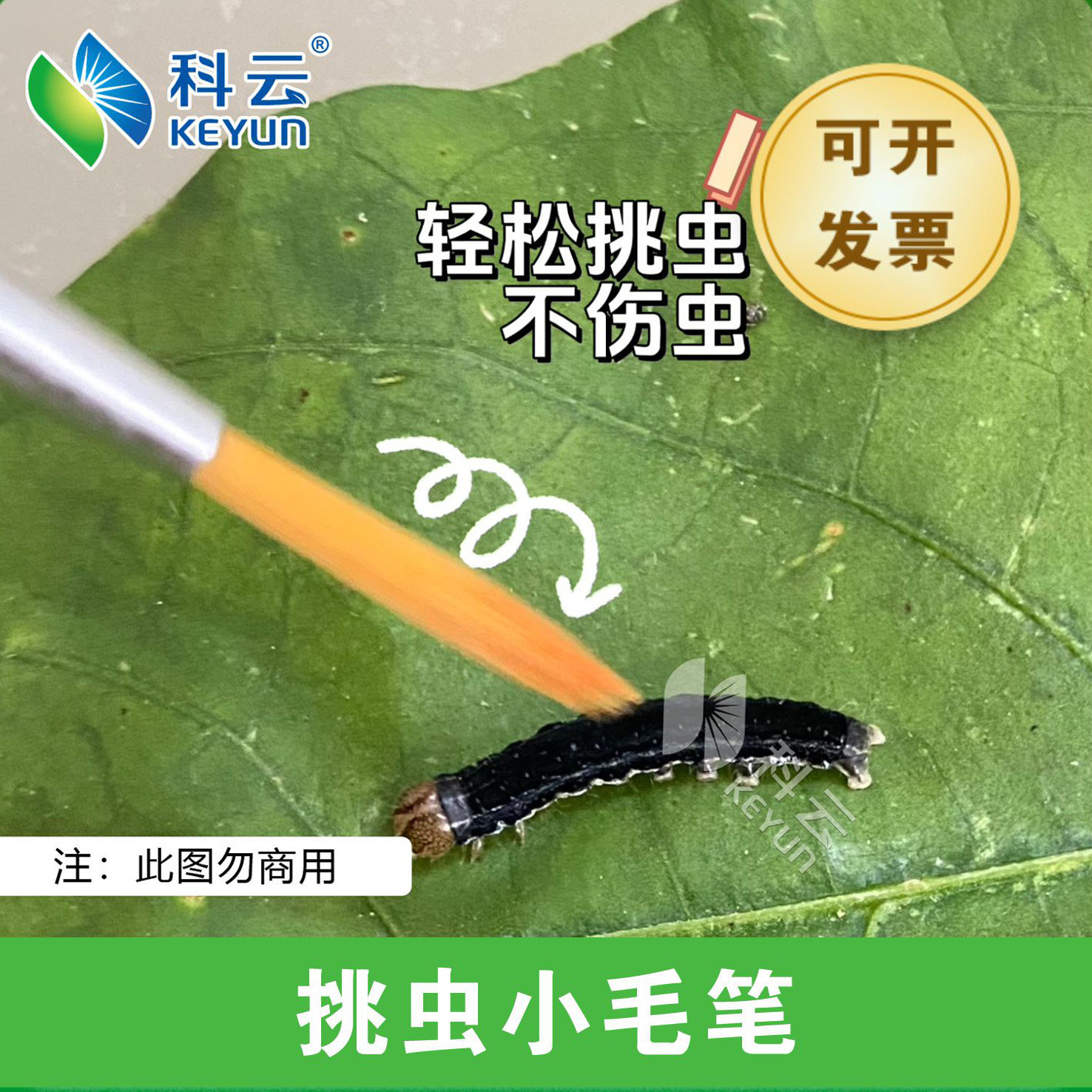 科云挑虫小毛笔科普实验天敌释放专用不伤虫
