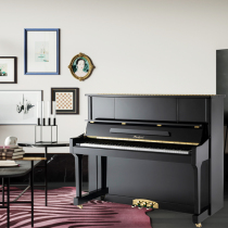 Fengling Piano Vertical Piano 123A High - end playing black teacher piano beginners with high cost
