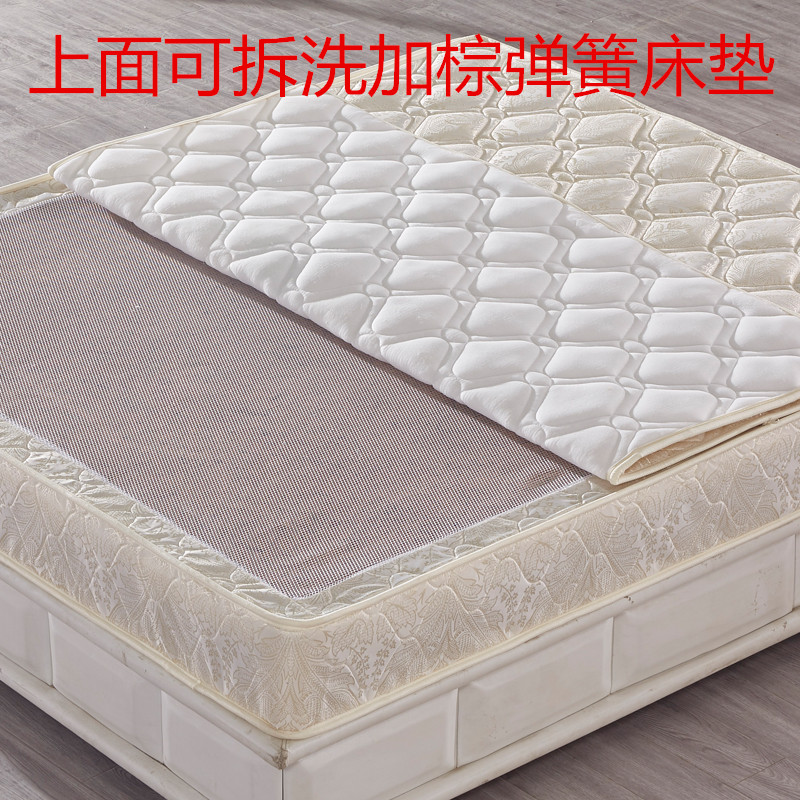 Removable and washable children's single and double plus coconut palm Simmons customized 3E30mm 10mm independent spring mattress