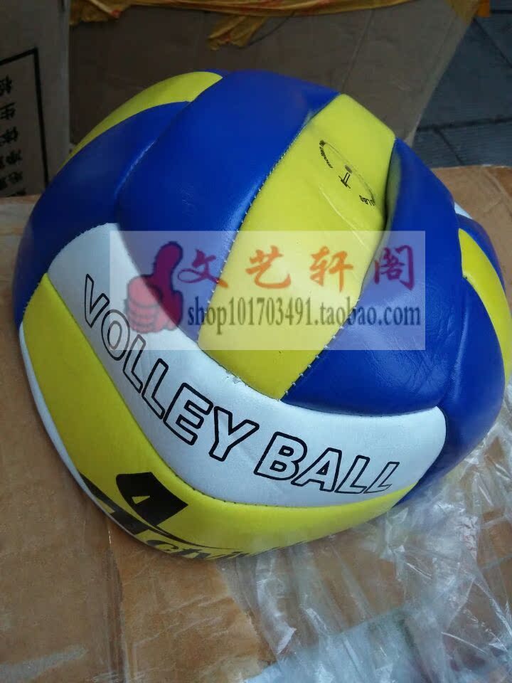 Ballon de volley - Ref 2012993 Image 3