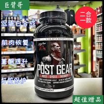 Rich Piana POST GEAR Giant Cytogenic Anti-female Recovery PCT Muscle Growth Promoting Synthesis 240 Granular
