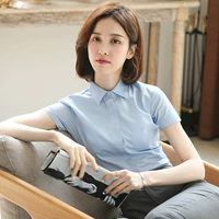 Синие обычные манжеты (квадратный воротник)