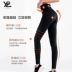YPL quần lửng tốc độ nhẹ bụng định hình bụng thông thoáng không ngột ngạt nóng cao eo cao co giãn eo thon quần body