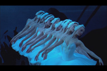 Ballet Swan Lake Russian Mariinsky Theater 2006 Edition Lopatkina DVD