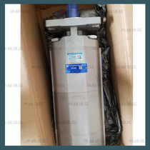 Hefei Changyuan gear oil pump CBKP100 80 63 50 40 32-BFP (H X triple pump drilling rig crane