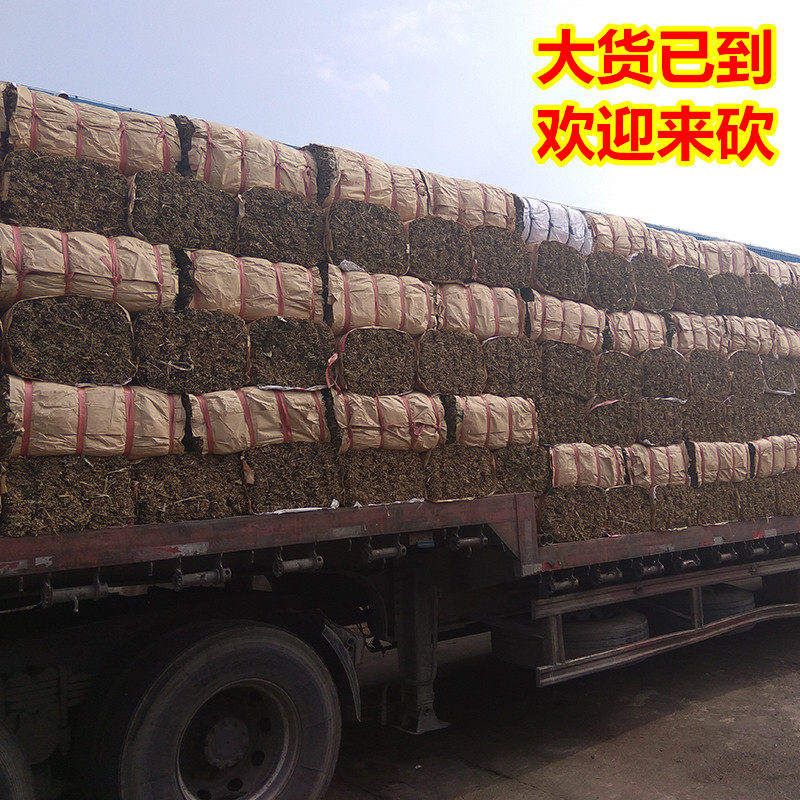 End Afternoon Zongzi rice dumplings wild dried rice dumplings Glutinous Rice Dumplings Leaves 50 kilos of Sesame Leaf Brown Leaf Palm Leaf Palm rice dumplings