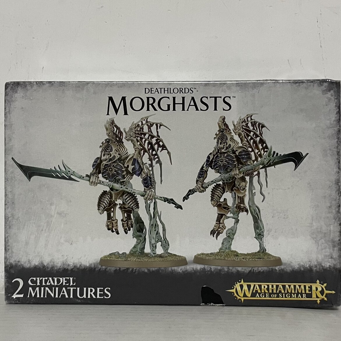 The Warhammer Aos Death Mohast destructor DEATHLORDS MORGHASTS