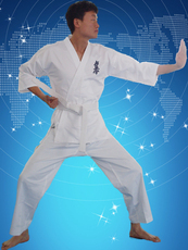 Форма для каратэ Подлинный Киокушин карате