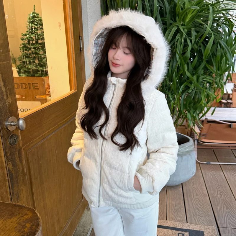 Korean Style 2026 New down Cotton Jacket for Women, Winter Design, Waist-Cinching, Slimming, Petite Cotton Coat, Padded Jacket Korean Style 2026 New down Cotton Jacket for Women, Winter Design, Waist-Cinching, Slimming, Petite Cotton Coat, Padded Jacket