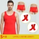 Năm sinh vest đỏ nam Lycra cotton đỏ rào cản vest cưới phù hợp cứ sau 9 năm quần đỏ mùa thu đồ lót