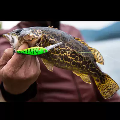 DNE to Luya scavenger SHAD submerged Mino long-distance Luya bait 60mm7 5g mandarin fish artifact