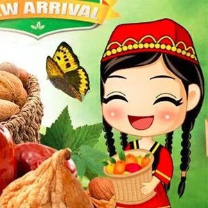 丝路伊美