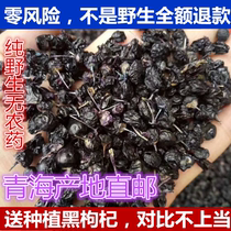Qinghai Nomuhong Wild black wolfberry pure natural premium anthocyanin king of Chaidamu Black Gou Goji 100g