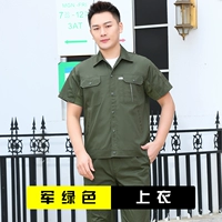 Военный зеленый вершина