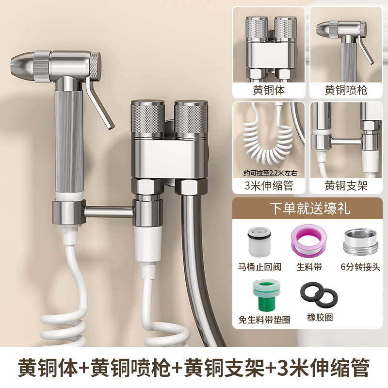 voi xit Súng màu xám vệ sinh đồng hành xịt bidet vòi phun bằng đồng thau vòi phòng tắm nhà vệ sinh hộ gia đình tăng áp cao vòi xịt vệ sinh bị rỉ nước vòi xịt vệ sinh caesar Vòi xịt vệ sinh