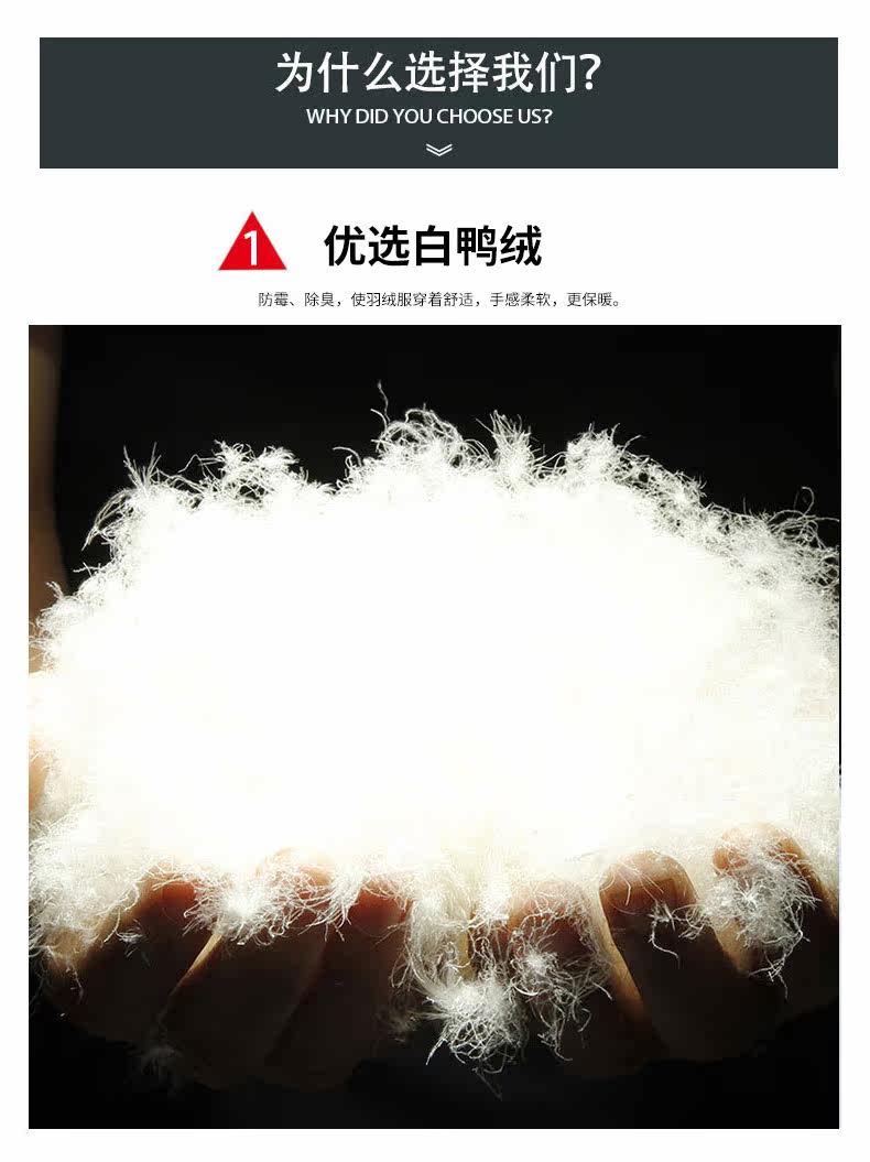 Blouson homme PLAYBOY     en Polyester - Ref 3121617 Image 17