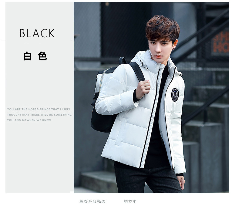 Blouson homme PLAYBOY     en Polyester - Ref 3121617 Image 26