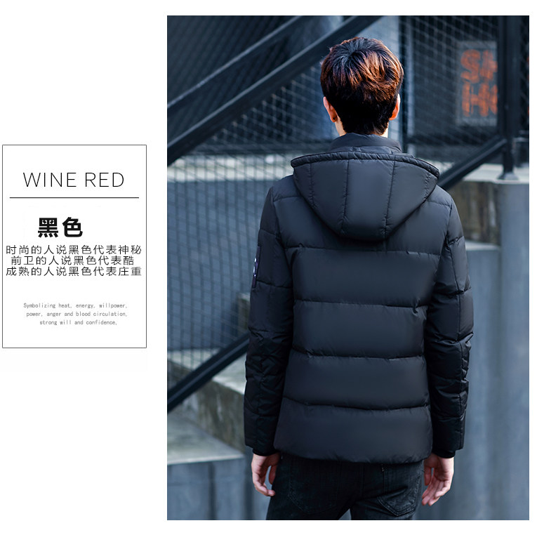 Blouson homme PLAYBOY     en Polyester - Ref 3121617 Image 23