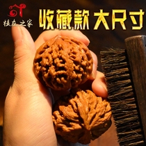 Wenwan walnut hand to play with hemp walnut four-story lion head large size collection wild Nanjiang stone white lion