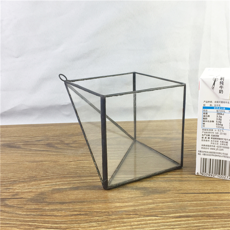 Phòng hoa thủy tinh giá trị bán lỗ giá phòng chậu hoa thủy tinh mọng nước - Vase / Bồn hoa & Kệ chậu trồng cây thủy sinh
