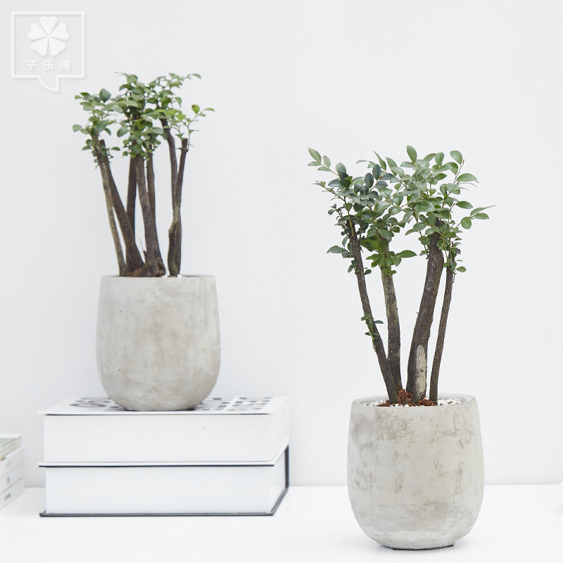 ���������Ժڹǲ�����