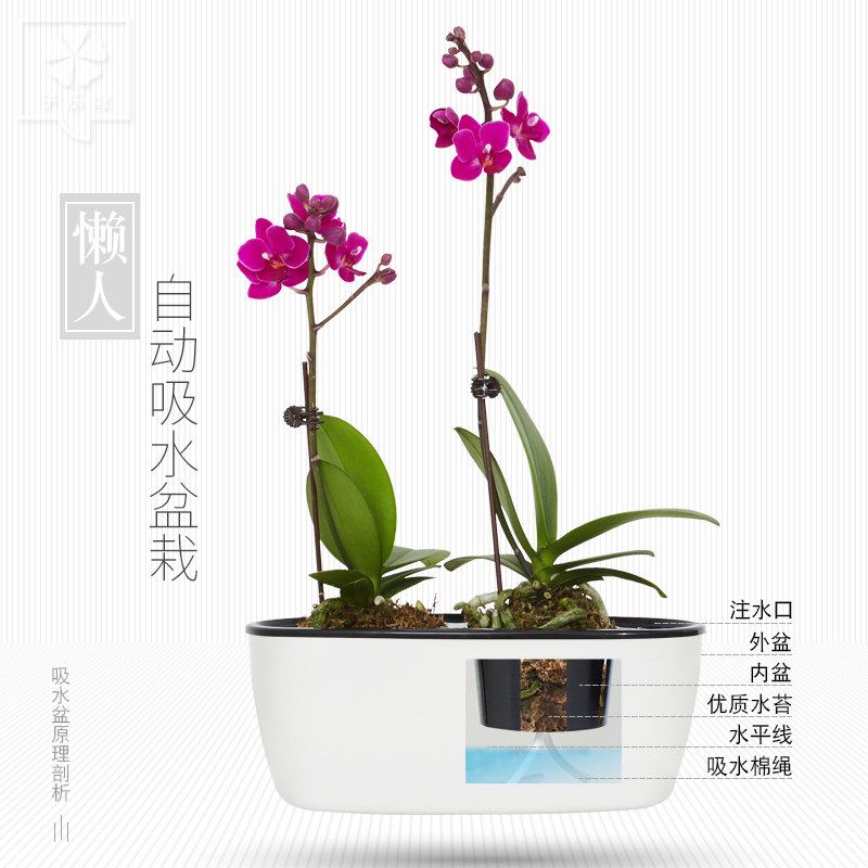 �������辰����С�컨������