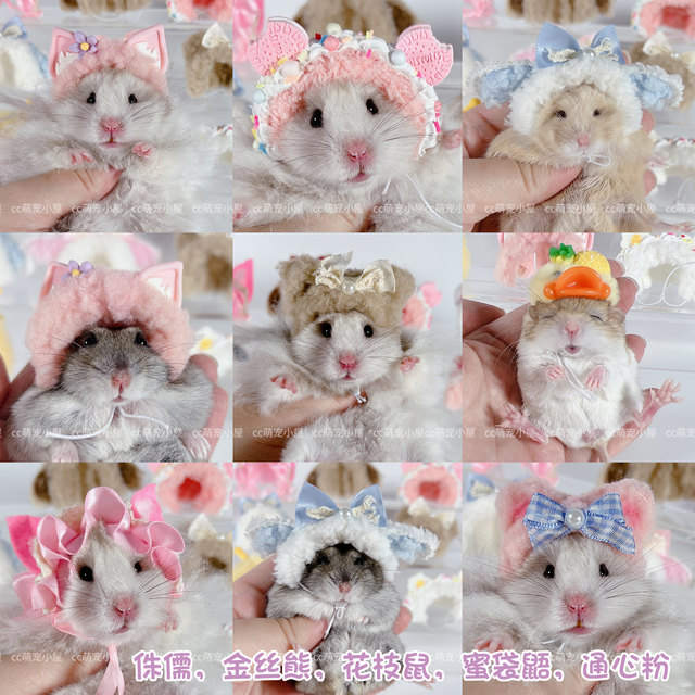 Hamster golden bear small hat handmade original plush hat golden bear honey bag glider rat ອຸປະກອນເສີມຮູບພາບ