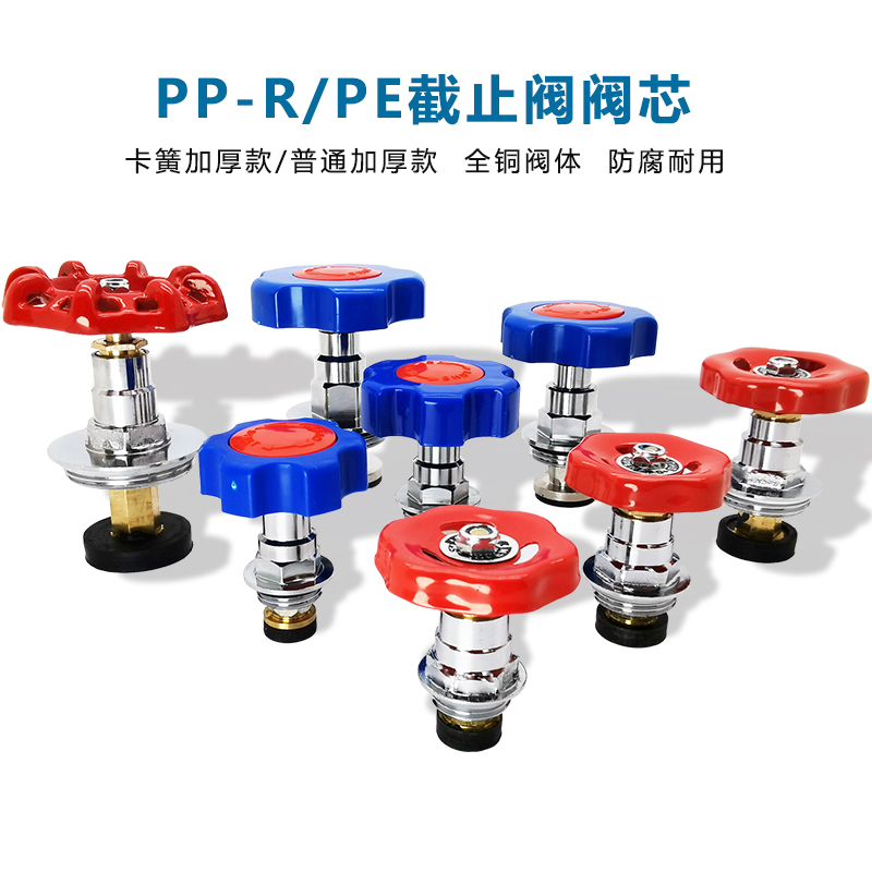 PPR PE globe valve spool all copper valve core water pipe pipe 46 points thick switch 25 gate valve plumbing fittings