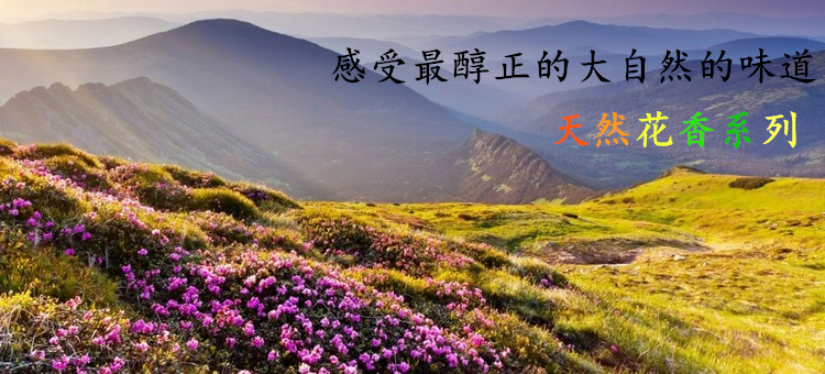 nhang viên hương trầm	 Meizheng Sanzang tự nhiên hoa hương hoa nho lá hoa nhài osmanthus hương nhang không khí thanh lọc Xiangzhu ký hương nhang - Sản phẩm hương liệu kỳ nam hương